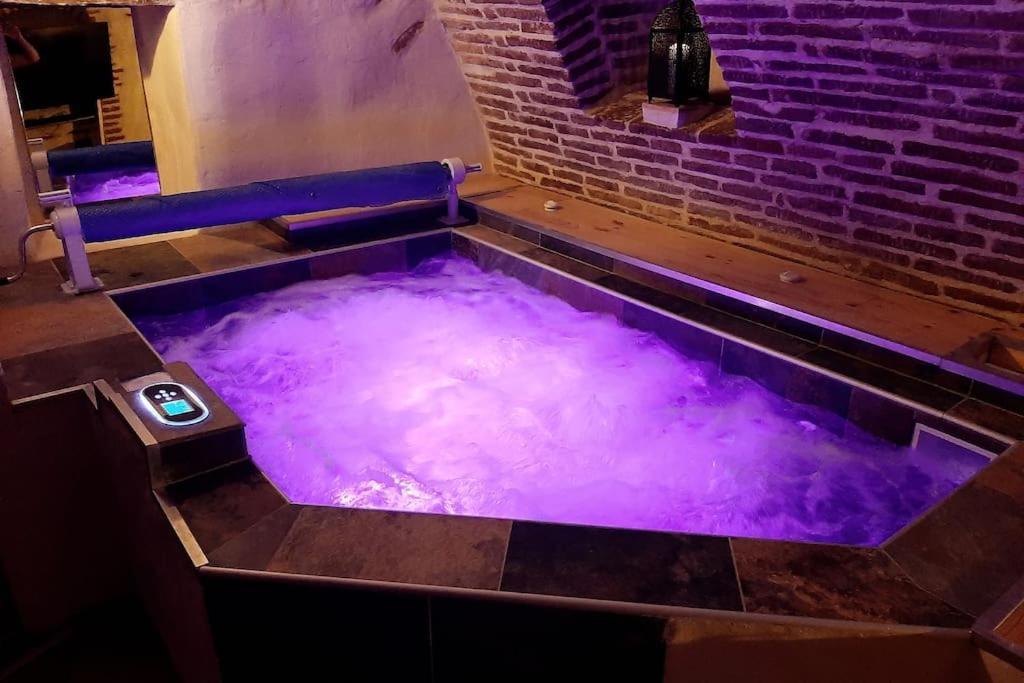 Studio Et Spa Privatif Le Puits De La Grace Albi Esterno foto