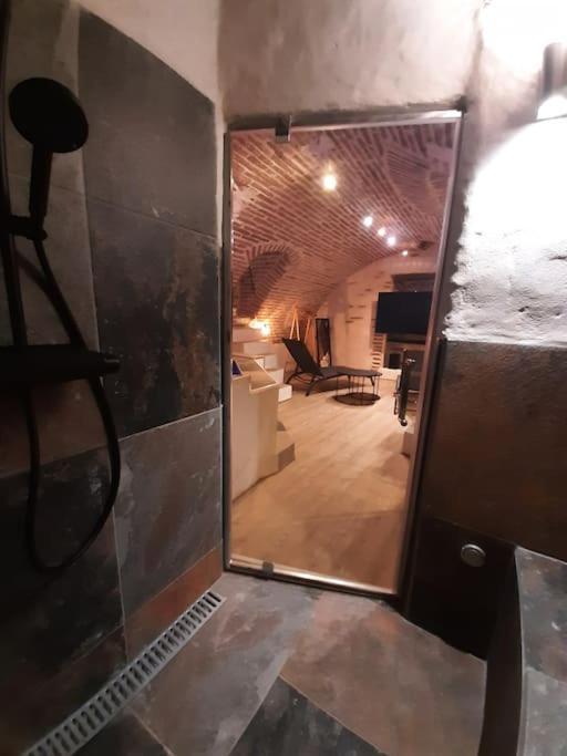 Studio Et Spa Privatif Le Puits De La Grace Albi Esterno foto