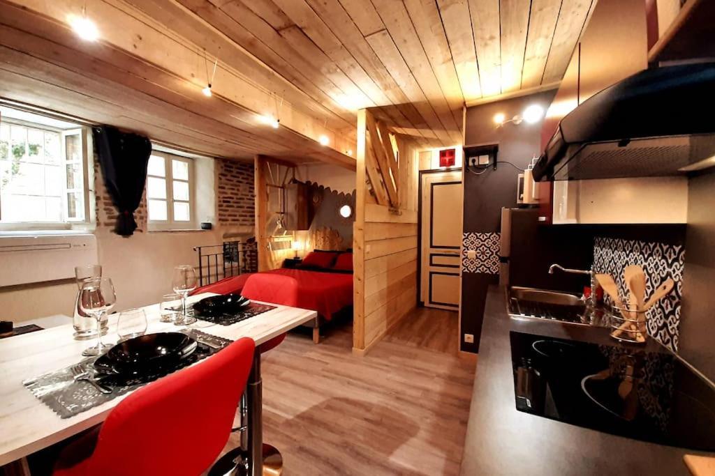 Studio Et Spa Privatif Le Puits De La Grace Albi Esterno foto