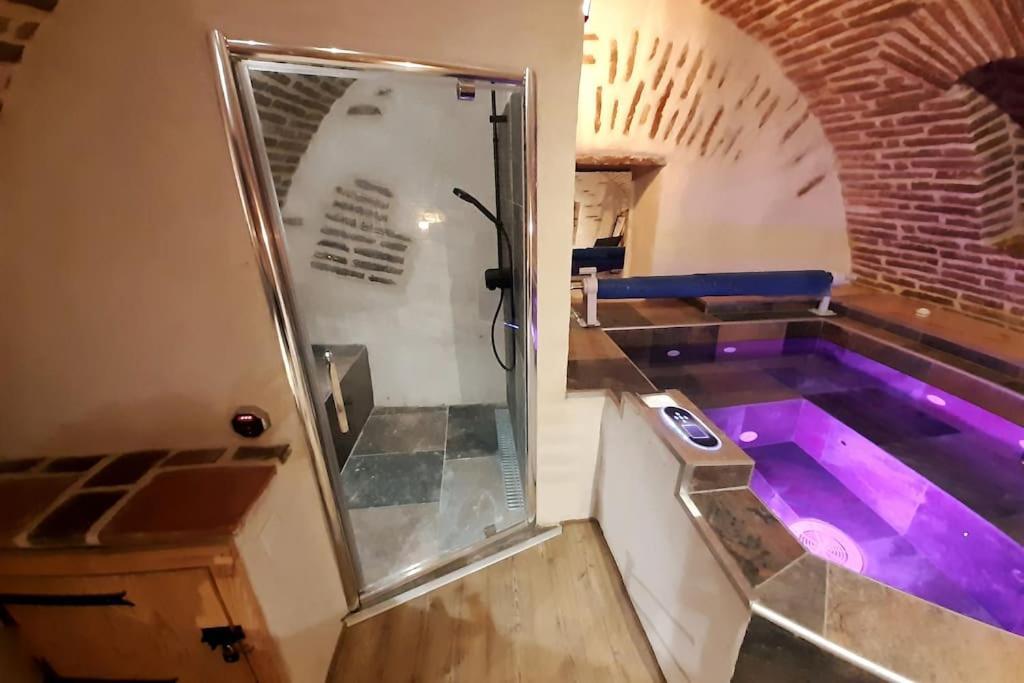 Studio Et Spa Privatif Le Puits De La Grace Albi Esterno foto